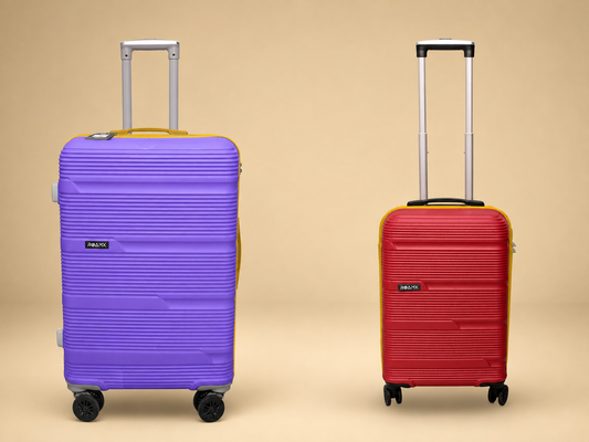 ROAMX 20 & 24 Inch Trolley Bag Set | Lightweight Hard Case Luggage | 8 Wheels | Cabin & Check-In Suitcase | Travel Bag for Men & Women